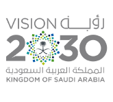 vision-2030